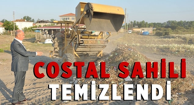 8. Costal