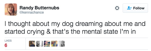"Köpeğimin rüyasında beni gördüğünü düşündüm ve ağlamaya başladım içinde bulunduğun ruh hali bu."