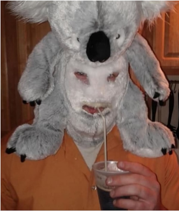 16. "Я коала славный малый"