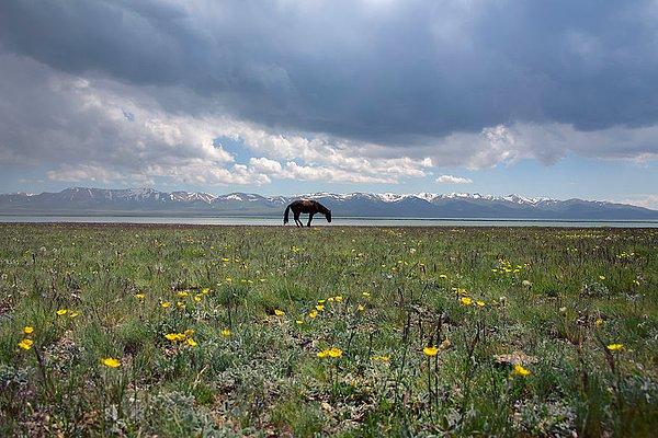 30. Sakinliğin Son Gölü'ndeki Harmonisi, Kırgızistan