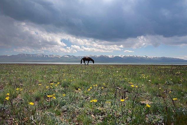 30. Sakinliğin Son Gölü'ndeki Harmonisi, Kırgızistan