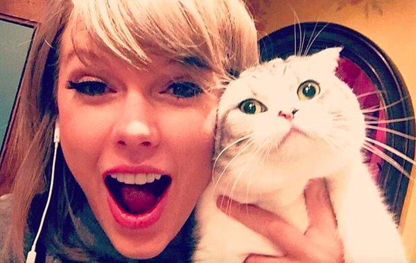 İlk olarak; herkes Meredith'den ölesiye nefret ediyor diyemeyiz. Hatta dizinin büyük hayranlarından biri de Taylor Swift.