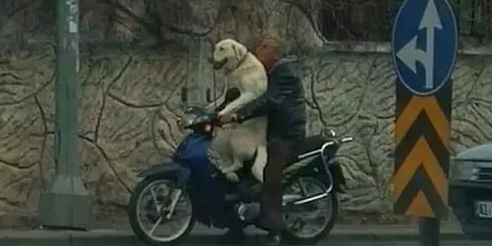 Dev Yarışmada Final: En Acayip Fotoğrafı Seçiyoruz!