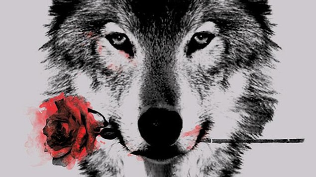 People, like wolves, that are under stress, eat their own skin.