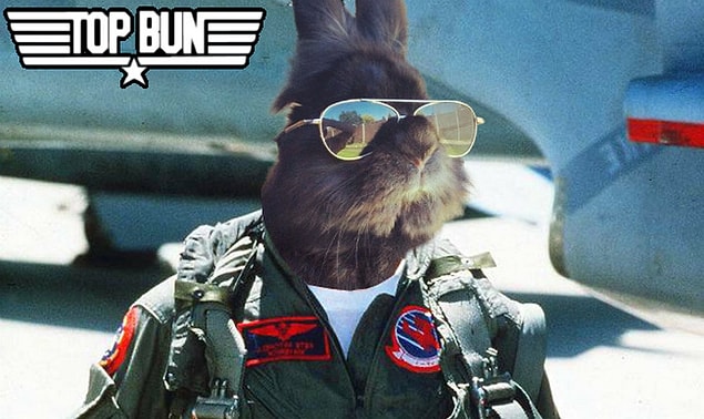 1. Top Bun