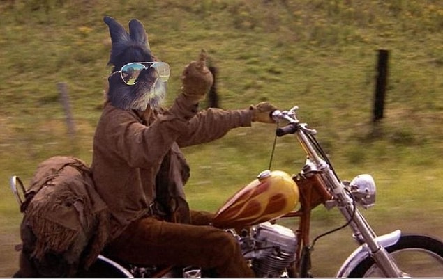 7. 🏍🏍🏍