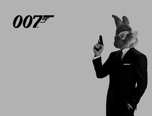 16. Adım Bond. Tavşan Bond.
