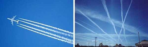 6. Правительство тайно распыляет химикаты для контроля численности населения