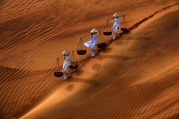 7. "Очертания и тени", Южный Вьетнам, (особое упоминание в категории "Открытые цвета")