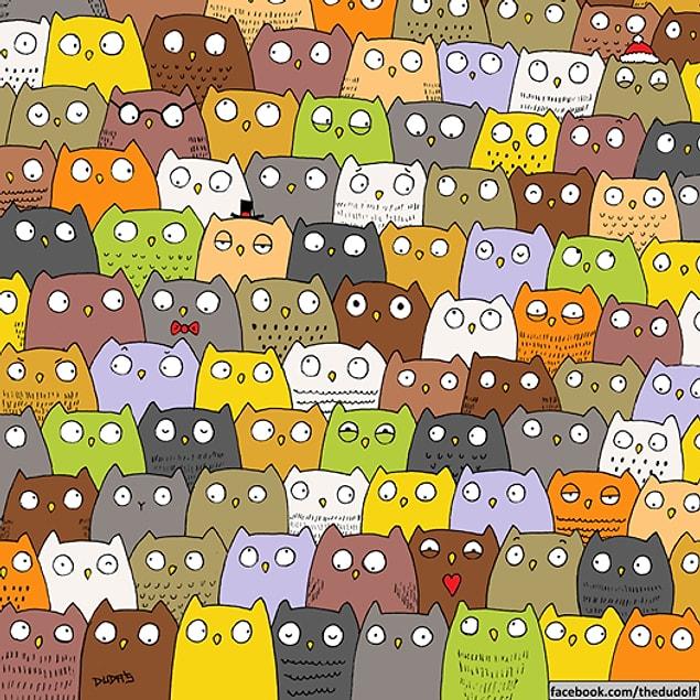 5. Can you find the panda hidden among these owls?