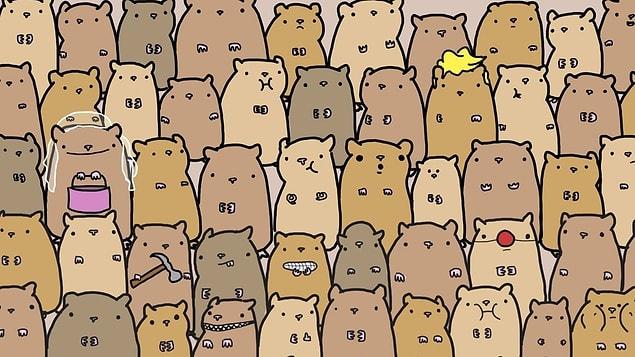 6. Can you find the potato hiding among these hamsters?