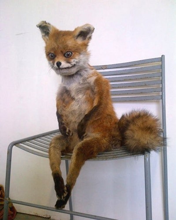 Ты никогда не бывал в Москве