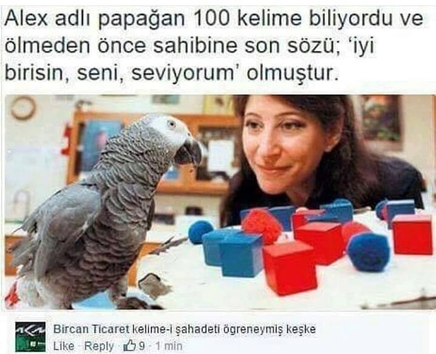 13. Tüh keşke öğretseymiş 😁