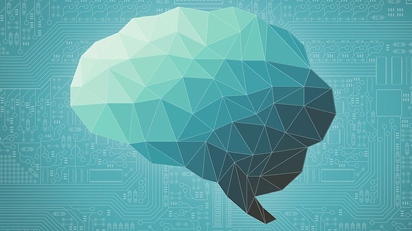 3. Что происходит благодаря удалению синаптических связей?