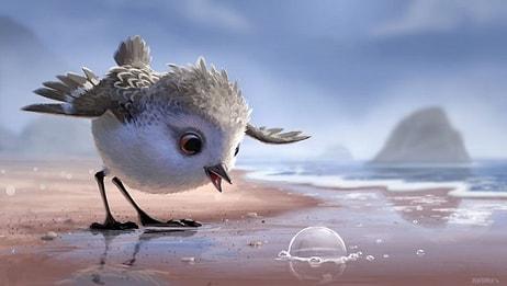 Pixar'dan Yavru Bir Çulluğun Hayatı Öğrenme Çabalarını Anlatan Muhteşem Animasyon: Piper