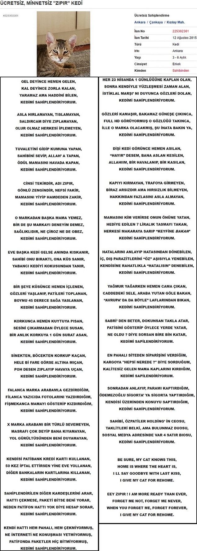 Sahiplendirmek istediği Zıpır isimli kedisinin özelliklerini ve onunla ilgili anılarını gerek Türkçe gerek İngilizce yazdığı dizelerle dile getiren hayvansever.