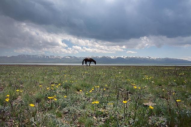 30. Peacefulness And Harmony At The Song-Köl Lake, Kyrgyzstan