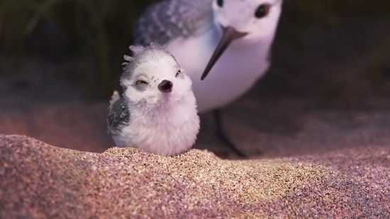 Невероятно теплый и нежный мультфильм от Pixar - "Piper"