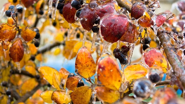 4. Падая на землю, шарики разбиваются и образуют, слой за слоем, ледяную корочку разной толщины