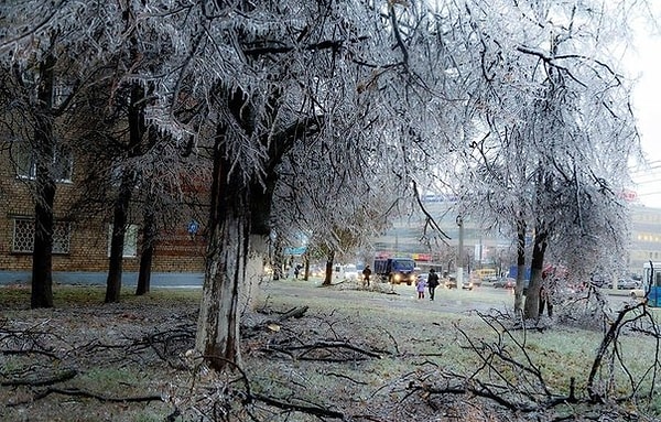 9. Ледяной дождь, выпавший в Канаде в 1998 году, вызвал гололед, который продержался более 80 часов, а годовая норма осадков была превышена в два раза