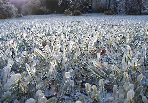 14. Ледяной дождь - хоть и очень красивое явление...