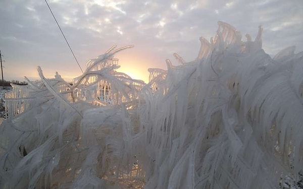 12. Слой льда порой достигает 3-4 см