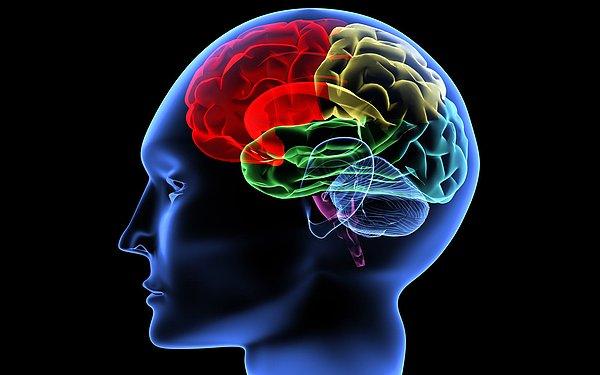 Araştırmanın bulguları, beynin olumsuz bilgiyi işlerken çok daha fazla çalıştığını, hatta olumsuz görüşü pekiştirmek için çabaladığını ortaya koydu.