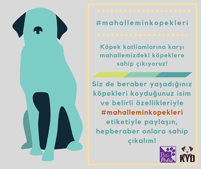 "Mahallemin Köpekleri" Kampanyasıyla Şiddete Sevgiyle Meydan Okuyan Güzel İnsanlar