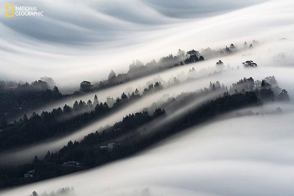 7. Mill Valley'deki sis dalgaları, Kaliforniya.