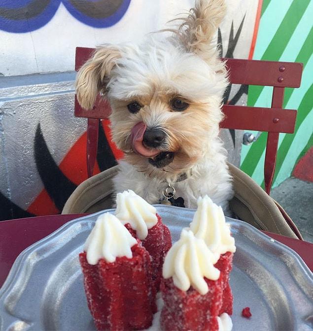 14. And of course, those pet-friendly restaurants in L.A. deserve a "well-done" too!