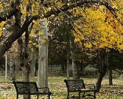 Her şeyi iyi yanından görmeyi kim öğretti bize?