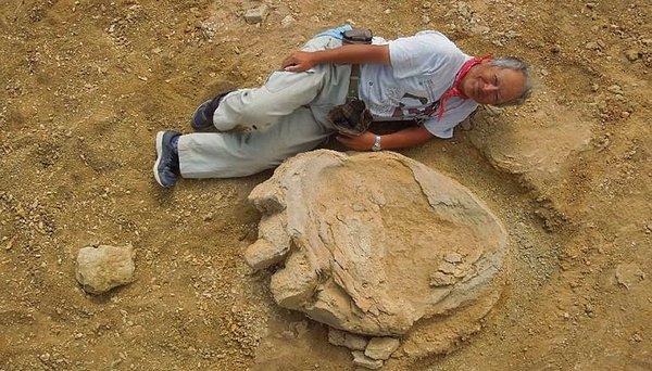 11. Şimdiye kadarki en büyük dinozor ayak izi keşfedildi.