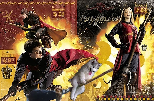 7. Quidditch takımının yeni vurucusu.