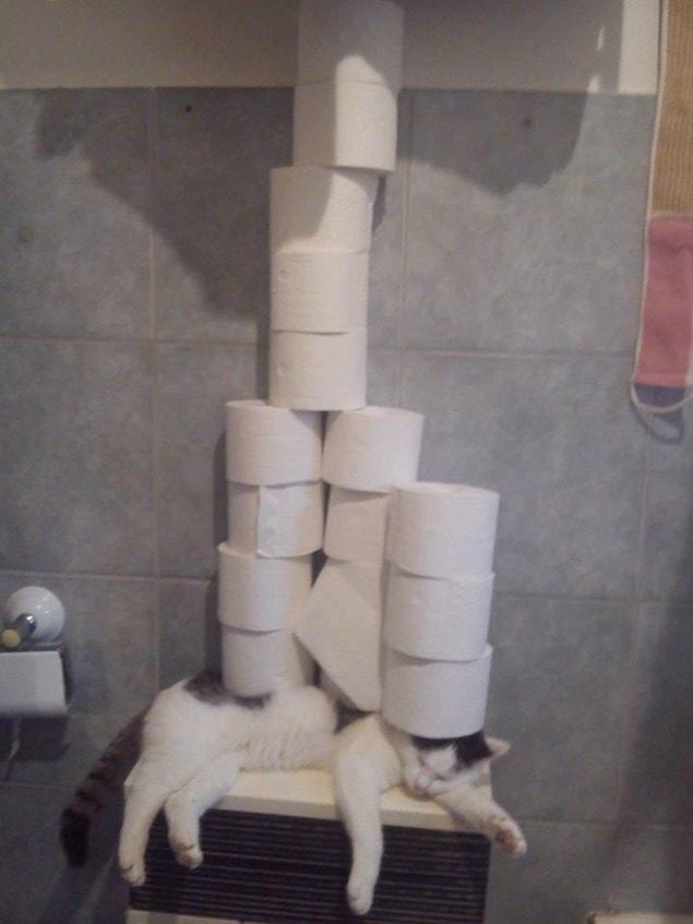 11. So what if I have a stack of toilet paper on me. Don't care!