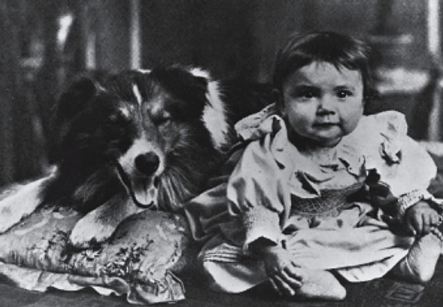 12. Rescued by Rover was the first movie to feature a dog in a starring role.