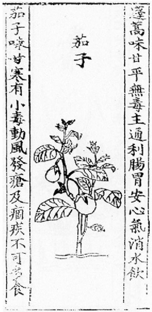 9. Yinshan Zhengyao