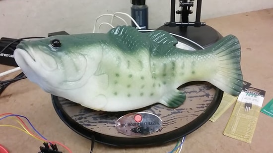 Amazon'un Sanal Asistanı Alexa Oyuncak Balığa Yüklenirse