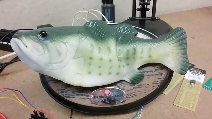 Amazon'un Sanal Asistanı Alexa Oyuncak Balığa Yüklenirse