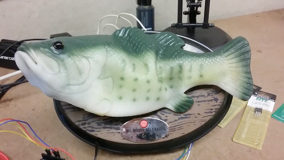 Amazon'un Sanal Asistanı Alexa Oyuncak Balığa Yüklenirse