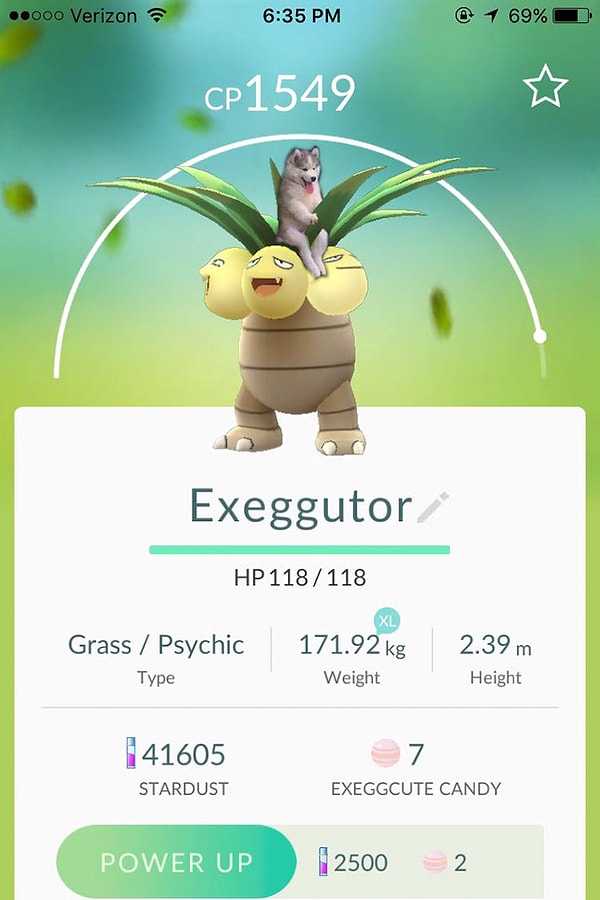 14. Новый покемон