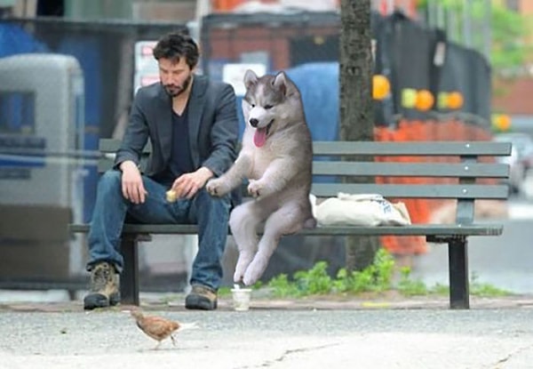 15. Не грусти, Киану!