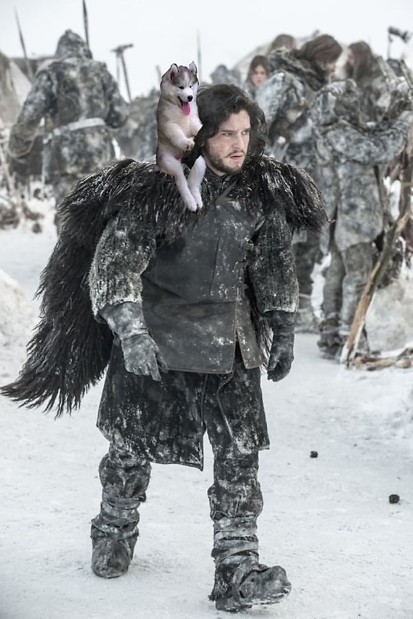 18. Вместе со Сноу