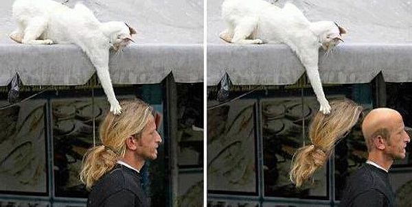 3. Сколько еще способов скрыть лысину вы знаете?