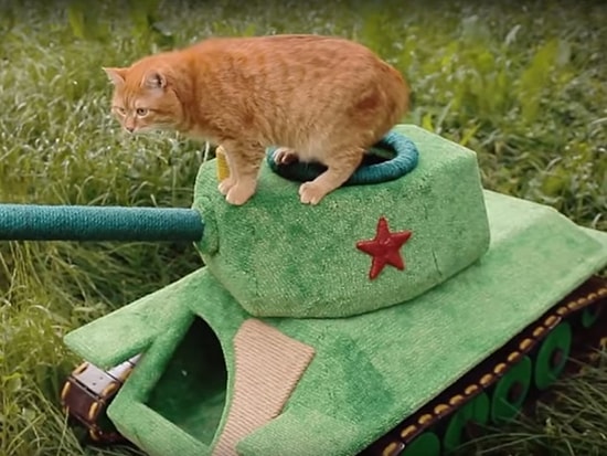 Русский инженер соорудил уникальный "кошкин дом" в виде танка