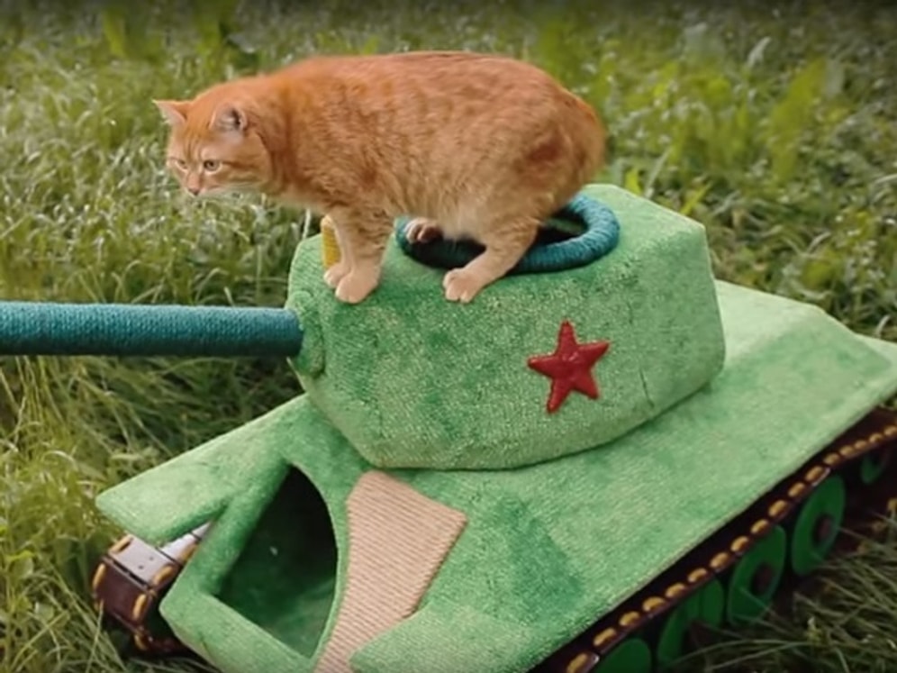 Русский инженер соорудил уникальный "кошкин дом" в виде танка
