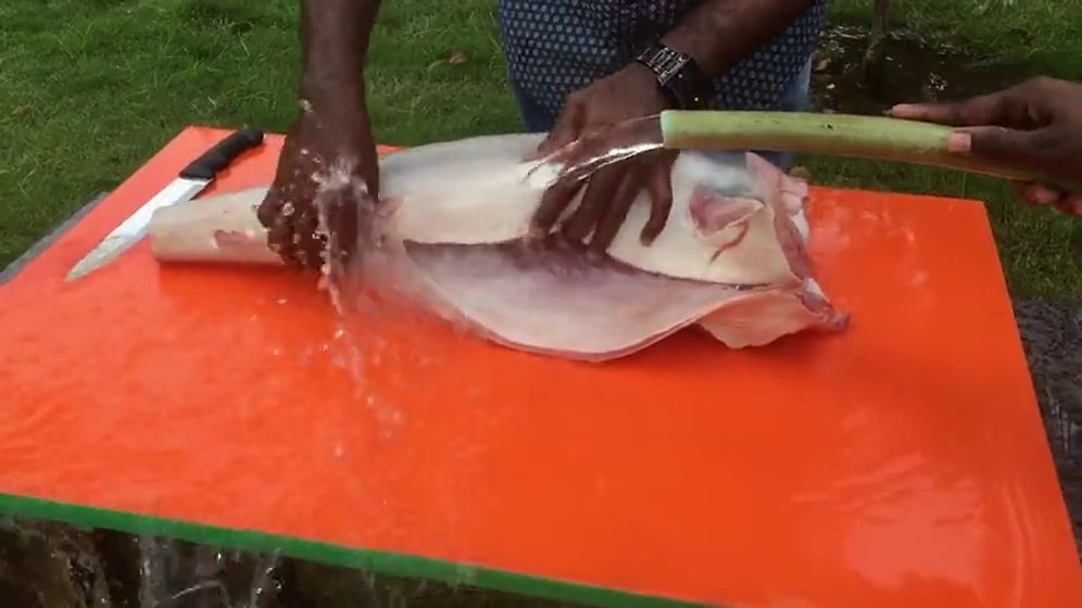 Кушать подано или Как приготовить акулу