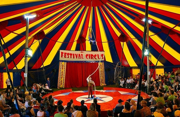 6. Вы следите за премьерами в цирке