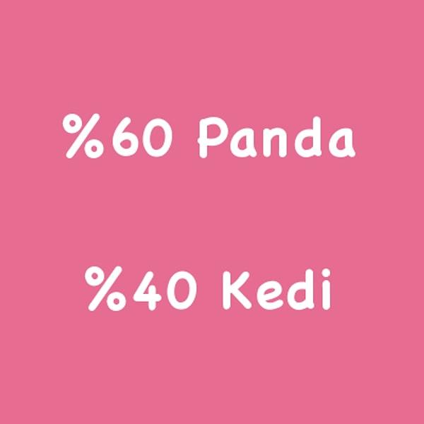 %60 Panda %40 Kedi!