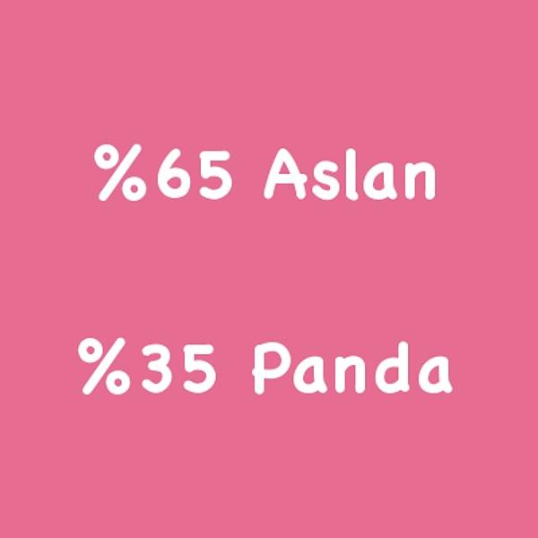 %65 Aslan %35 Panda!