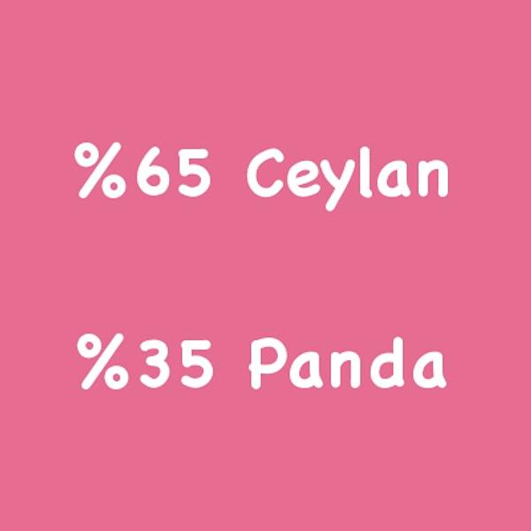 %65 Ceylan %35 Panda!